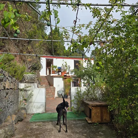 Freedom Vakantiehuis *