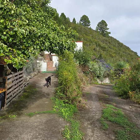 Vakantiehuis Freedom *