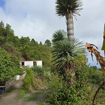 Freedom Vakantiehuis El Tablado